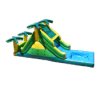 Tropical Water Slide