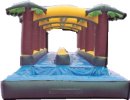 Tropical Slip Water Slide